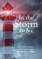 In the Storm ~ His Love: A Global Meniere's & Vestibular Project of Faith, Love and Hope