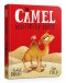 Camel Who Had The Hump Board Book