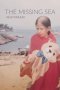 The Missing Sea