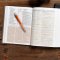 CSB Study Bible