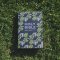 NIV Holy Bible, Purple, Paperback, Hodder Classic Design, Reading Plan, Anglicized Text, Topics Guide