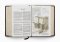 ESV Study Bible, Large Print (Buffalo Leather, Deep Brown)