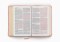 ESV Compact Bible, Red Letter (TruTone, Blush Rose, Emblem Design)