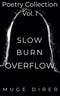 Slow Burn Overflow: Poetry Collection Vol. I
