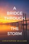 A Bridge Through the Storm