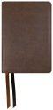 NASB 2020 Large Print Personal Size Bible, Brown
