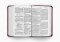 ESV Large Print Value Compact Bible (TruTone, Mahogany, Border Design)