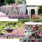 Boxed Card-Garden Spendor Assorted Birthday (KJV) (Box Of 12)
