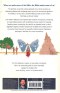 Bible: A Story that Makes Sense of Life
