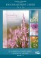 Day by Day Boxed Cards (Pack of 12)