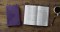 ESV Large Print Value Thinline Bible (TruTone, Lavender, Filigree Design)