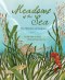 Meadows Of The Sea