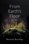 From Earth's Floor