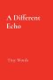A Different Echo: Tiny Words