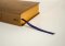 The Bible Recap 365-Day Chronological ESV Study Bible, Brown Imitation Leather