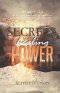 THE SECRETS TO THE HEALING POWER : Principles of the Healing Power