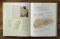 Crossway ESV Bible Atlas