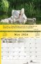 Gospel of Peace 2026 Calendar