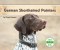 German Shorthaired Pointers