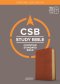 CSB Study Bible, Personal Size, Digital Study Edition, Burnt Sienna LeatherTouch