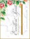 The Excellent Spirit Prayer & Wellness Planner