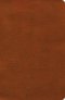 NASB Verse-by-Verse Reference Bible, Burnt Sienna