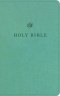 ESV Premium Church Bible (TruTone, Paris Sky)