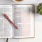 KJV Large Print Personal Size Reference Bible, Earthen Suede