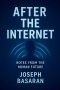 After the Internet: Notes from the Human Future