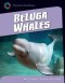 Beluga Whales