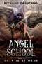 Angel School