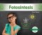 Fotosintesis (photosynthesis)