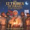 The 12 Tribes of Israel: Jacob's Twelve Sons and Their Tribes