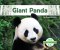 Giant Panda