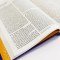 ESV-CE Catholic Bible, Anglicized Confirmation Edition
