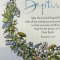 Baptism Wildflowers Single Card