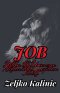Job - When the Universe Refused to Explain Itself