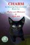 Charm: An Amazing Story of a Little Black Cat
