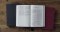 ESV Value Thinline Bible (TruTone, Raspberry, Floral Design)