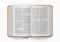 ESV Giant Print Personal Size Bible (TruTone, Nubuck Caramel, Wildflower Design)