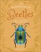 Anthology Of Beetles