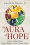 An Aura of Hope: United Methodism's Next Chapter in the United States (An Aura of Hope)