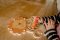 Lion Magnetic Maze (FSC®)