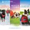K-9 Companions Books 29-31