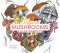 Magical Mushrooms Coloring Book