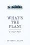 What\'s The Plan