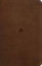 NLT Student Life Application Study Bible, Filament Enabled (LeatherLike, Rustic Brown, Red Letter)