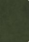 CSB She Reads Truth Bible, Holman Handcrafted Collection, Olive Premium Calfskin