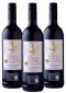 Pack of 3 Poterion Fair Trade Red Altar Wine