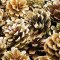 Natural Pine Cones - pack of 25